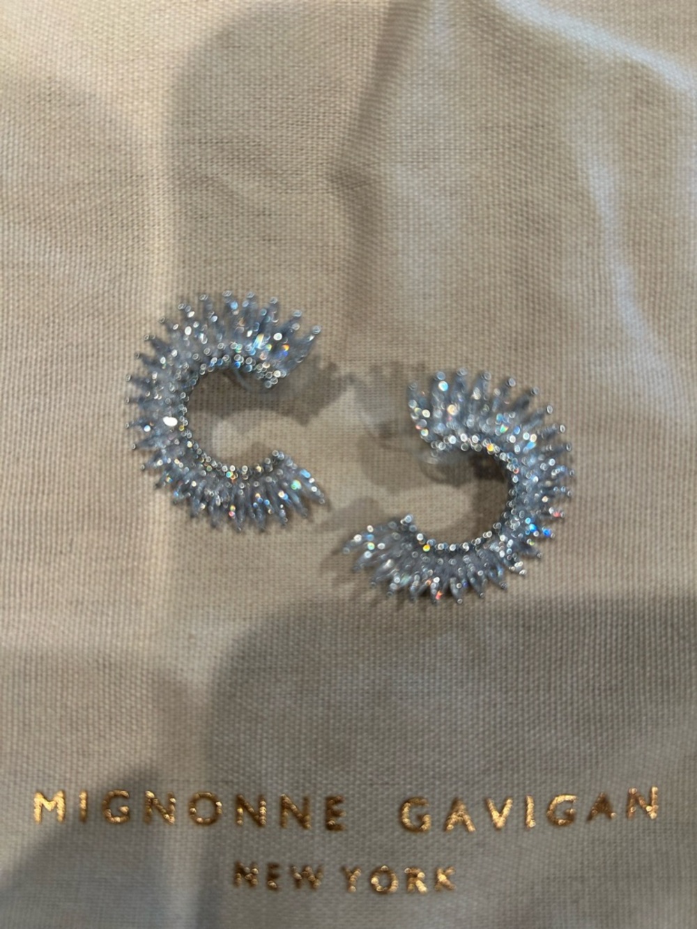 Mignonne Gavigan Stunning Silver Crystal Crescent Hoop Earrings